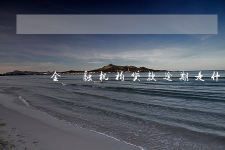 金 融机构贷款逾期是什么